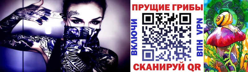 Псилоцибиновые грибы мухоморы Тайшет