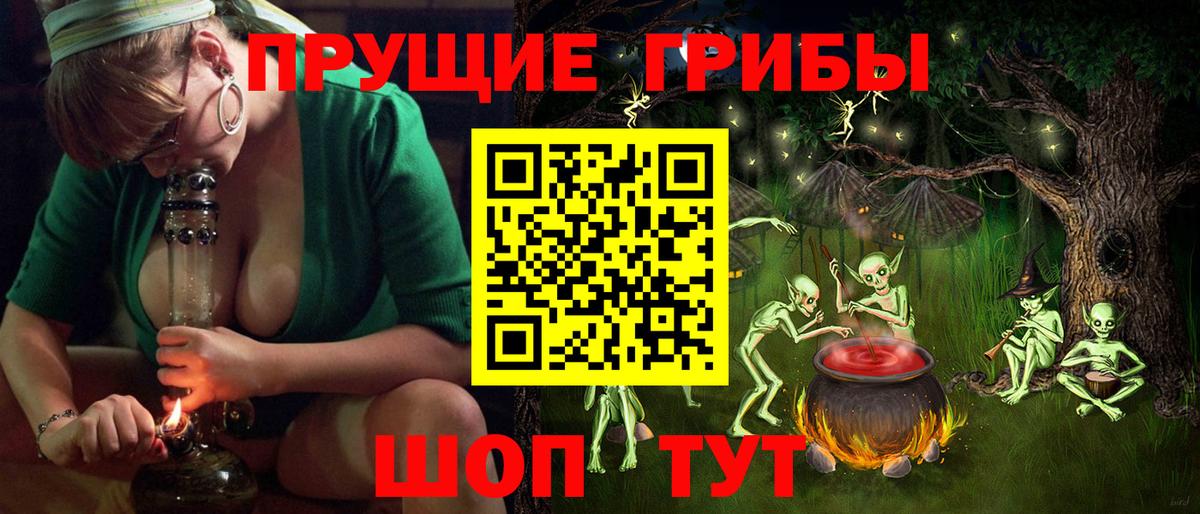 Тайшет  Галлюциногенные грибы ЛСД  Вход с VPN  Псилоцибиновые грибы GOLDEN TEACHER 