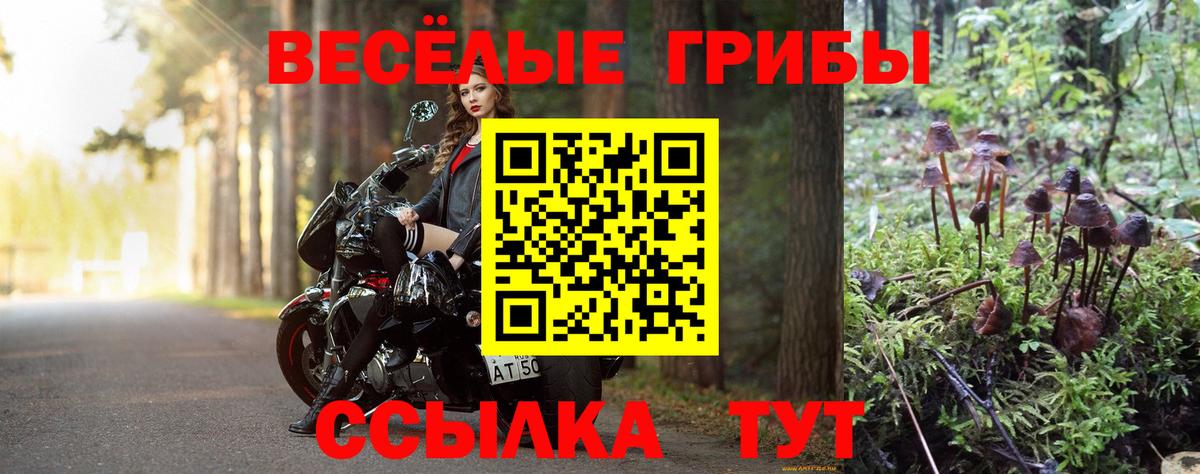 Галлюциногенные грибы прущие грибы Тайшет
