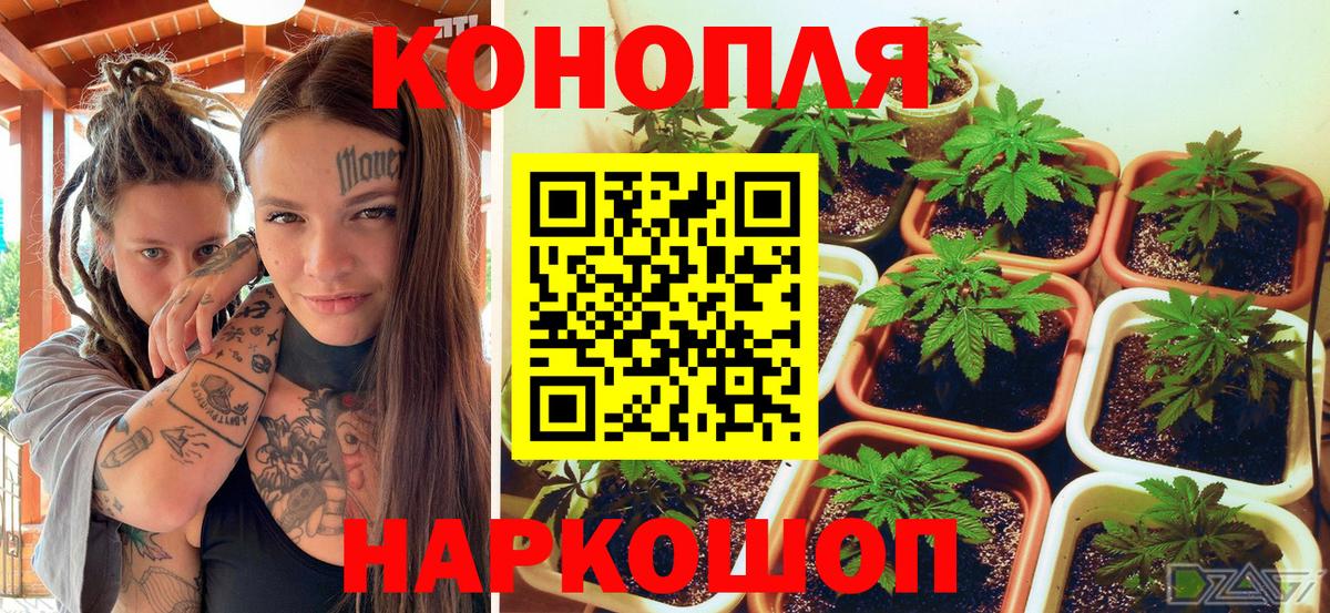 Шишки марихуана MAZAR Тайшет